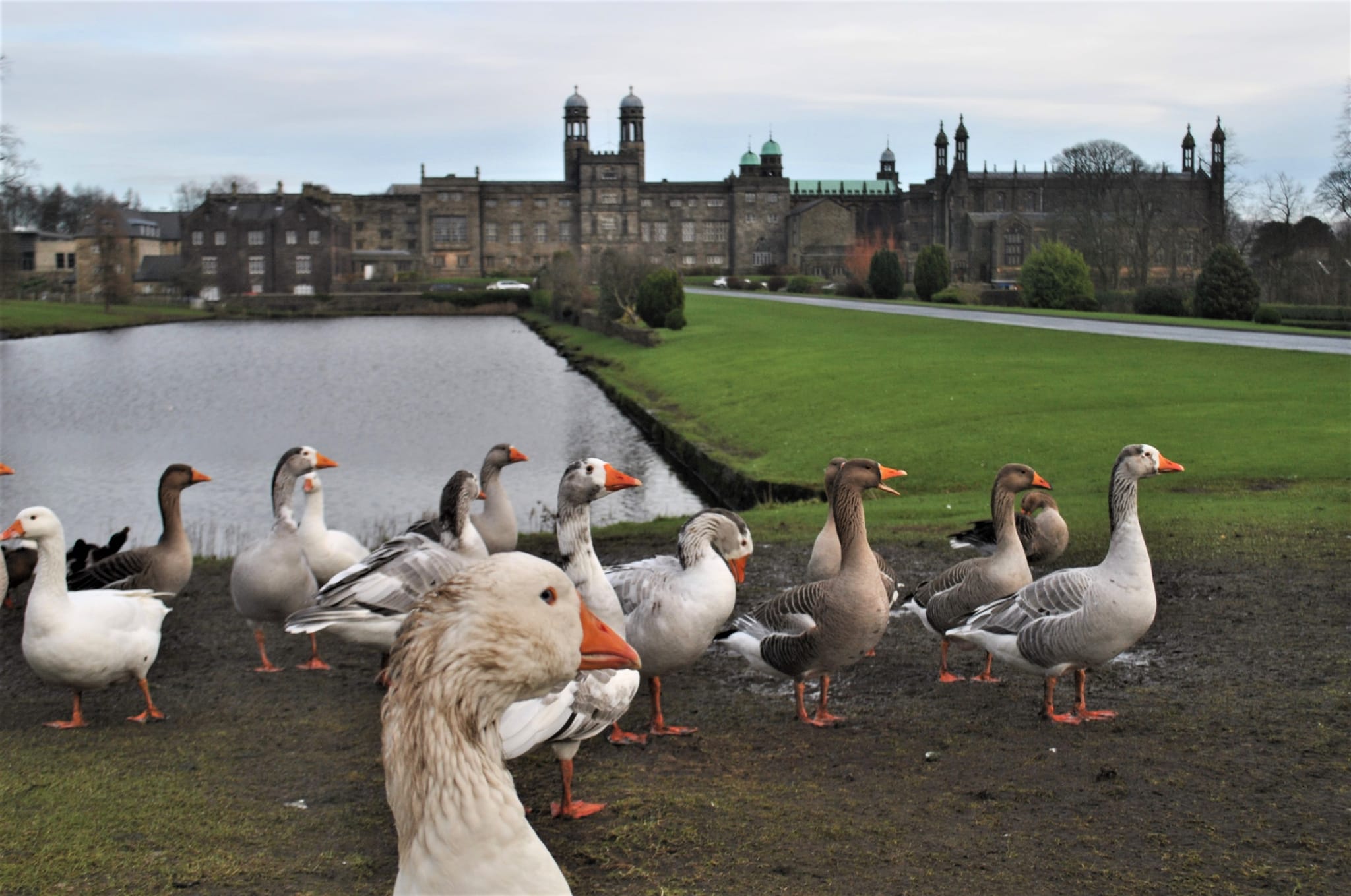 Stonyhurst College