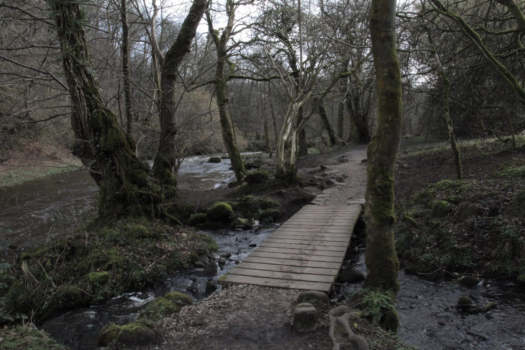 Brock Bottom (1)