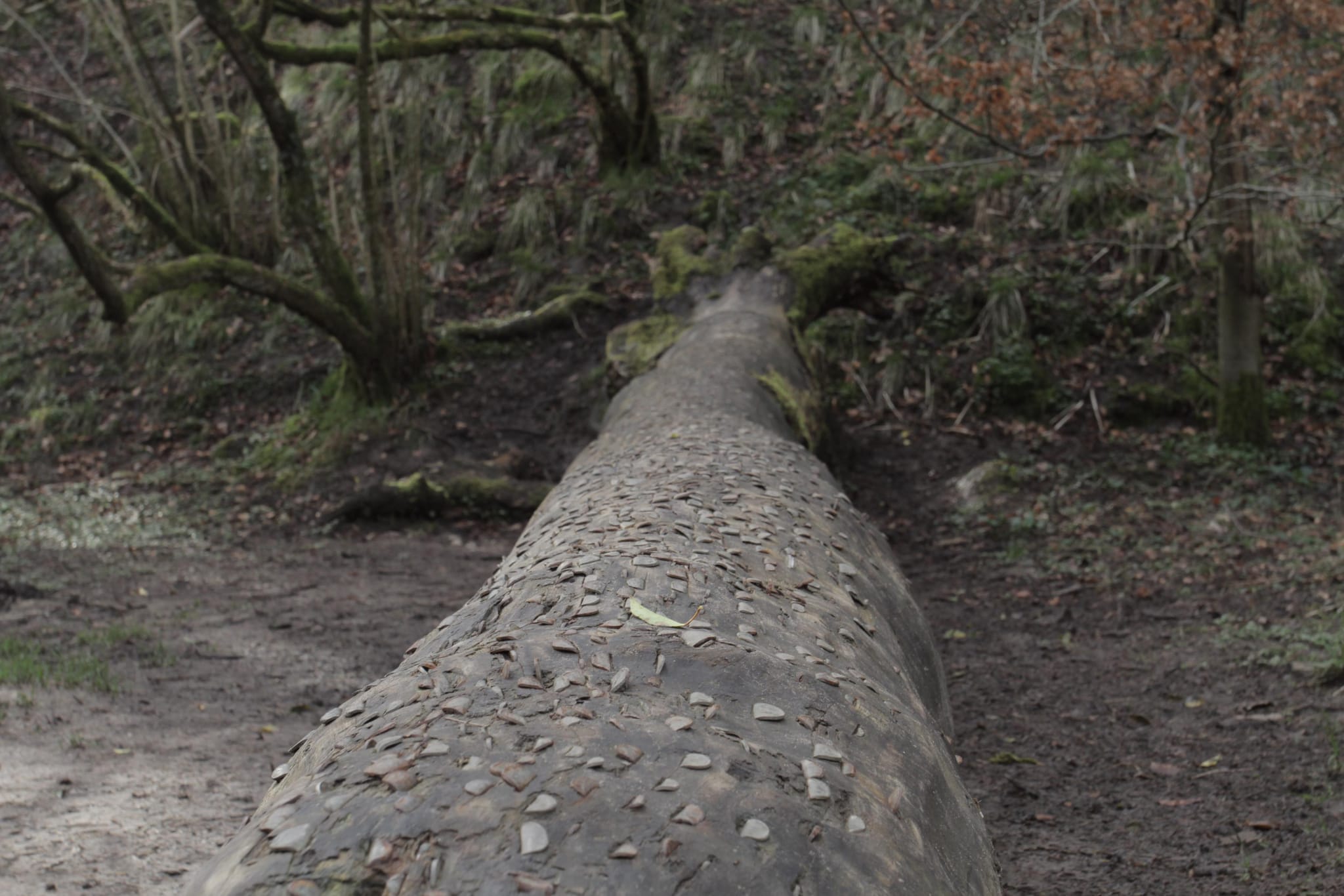 Brock Bottom (2)