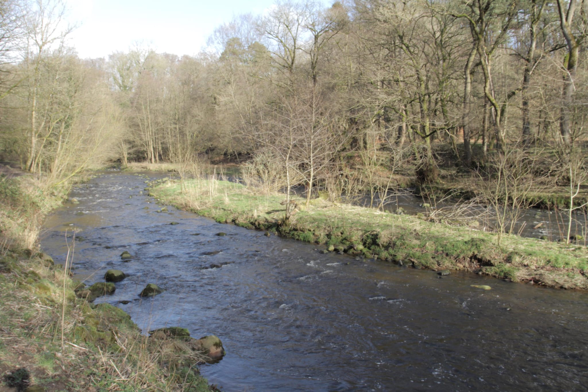 Brock Bottom (3)