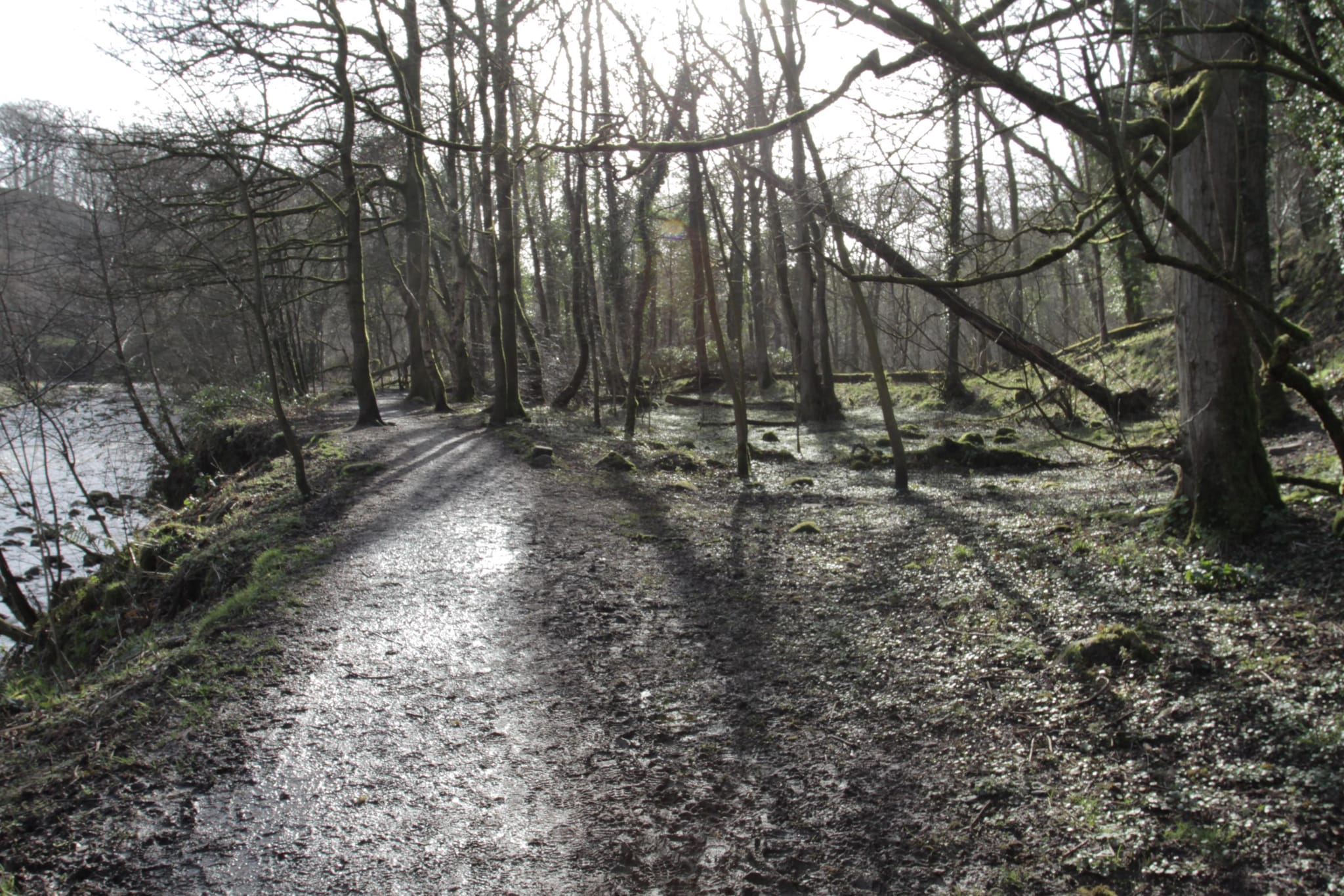 Brock Bottom (4)