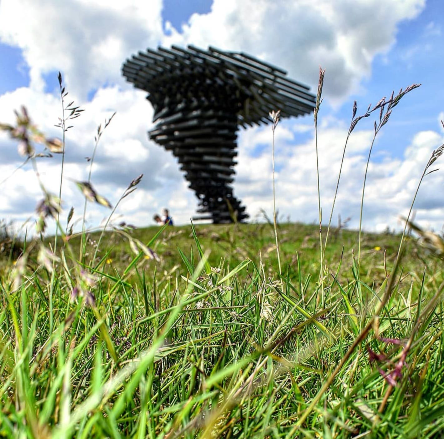 Singing Ringing Tree